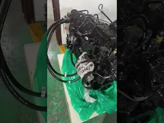 1998 Dodge для Cummins 12 24 клапан 5.9 Cummins двигатель перестроить комплект